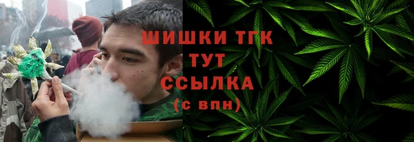 прущие грибы Инсар