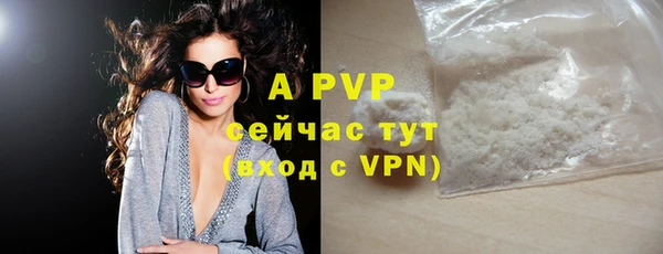 круглые Иннополис