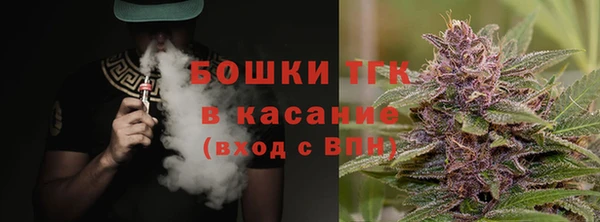 прущие грибы Инсар