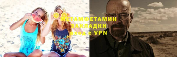 прущие грибы Инсар