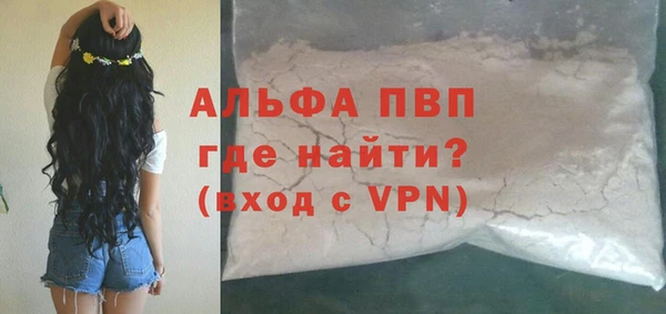 прущие грибы Инсар