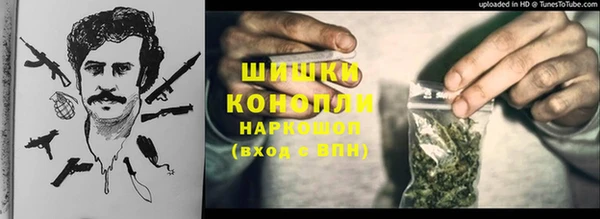 прущие грибы Инсар