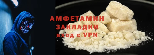 прущие грибы Инсар