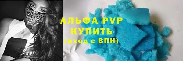 амф Инта