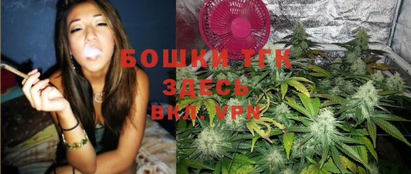прущие грибы Инсар