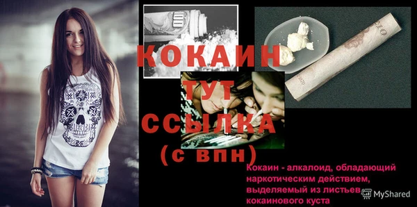 прущие грибы Инсар