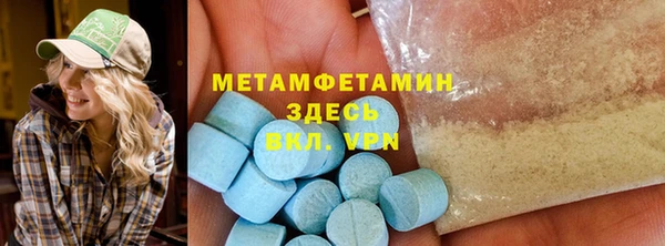 прущие грибы Инсар