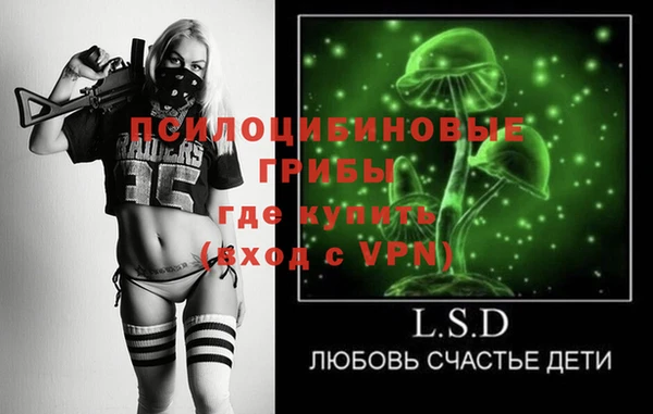 амф Инта